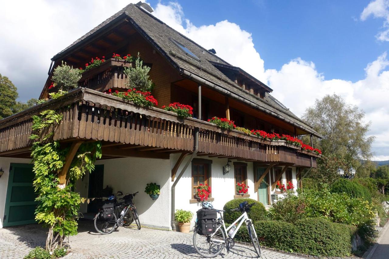 Hollhouse - Bed & Breakfast Hinterzarten Zewnętrze zdjęcie