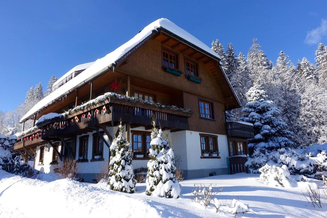 Hollhouse - Bed & Breakfast Hinterzarten Zewnętrze zdjęcie